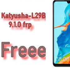 Katyusha-L29B 9.1.0 remove Frp